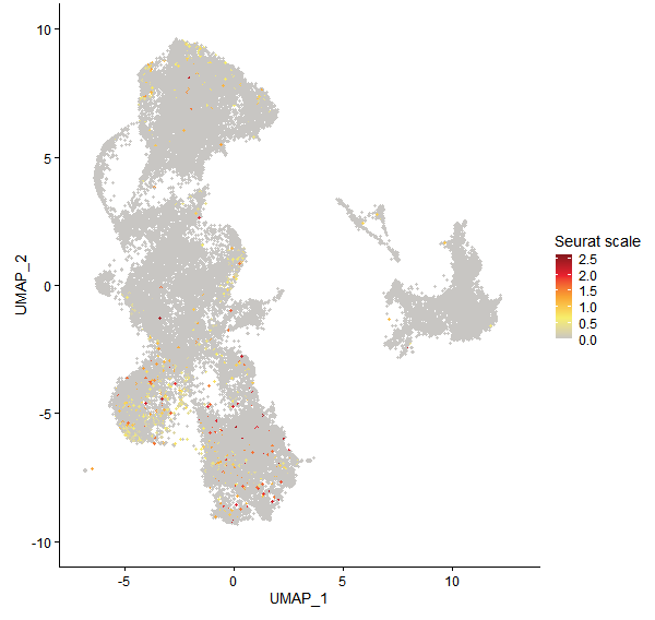 Feature plot of Mp2g05680 on UMAP