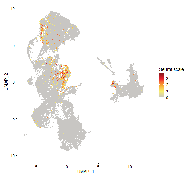 Feature plot of Mp2g05810 on UMAP