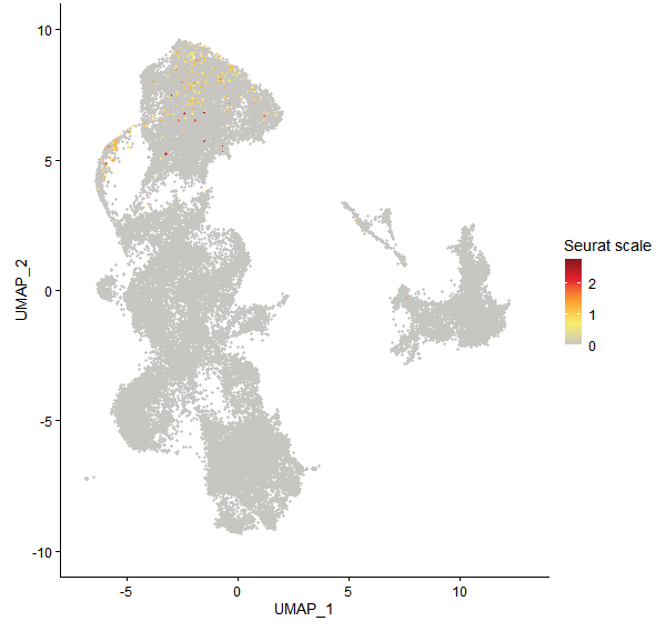 Feature plot of Mp2g06570 on UMAP