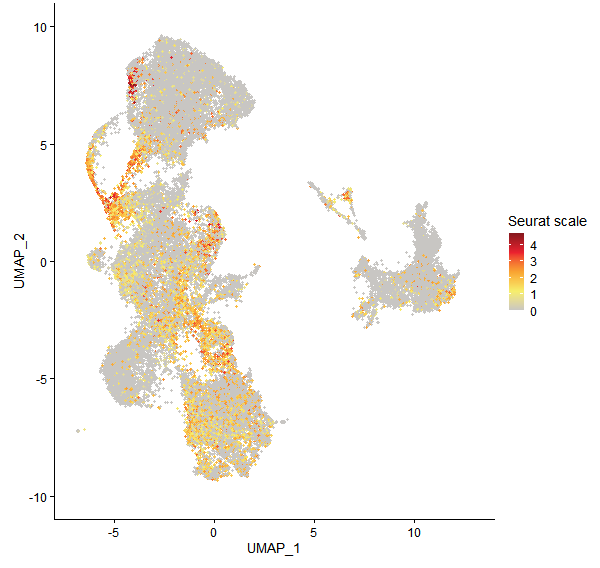 Feature plot of Mp2g07060 on UMAP