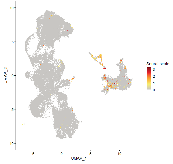 Feature plot of Mp2g07920 on UMAP
