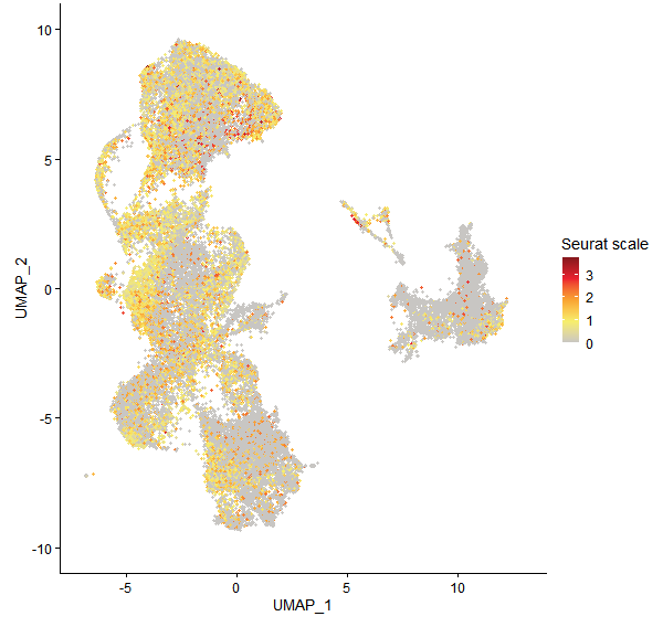 Feature plot of Mp2g09130 on UMAP
