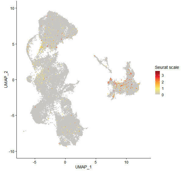 Feature plot of Mp2g09790 on UMAP