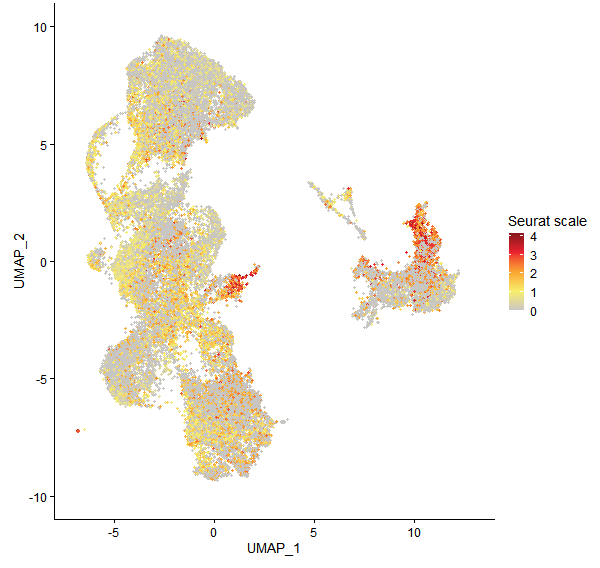 Feature plot of Mp2g10800 on UMAP