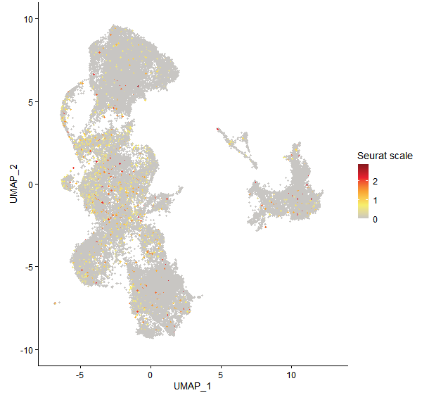 Feature plot of Mp2g12520 on UMAP