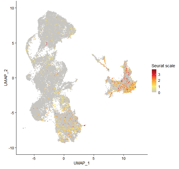 Feature plot of Mp2g12650 on UMAP