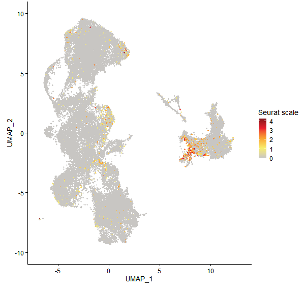 Feature plot of Mp2g13190 on UMAP