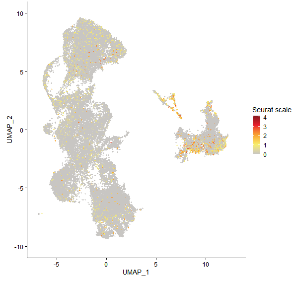 Feature plot of Mp2g15680 on UMAP