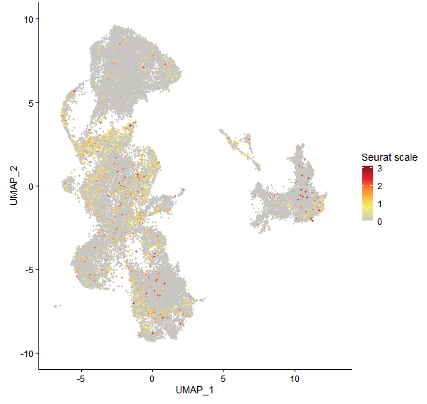 Feature plot of Mp2g16560 on UMAP