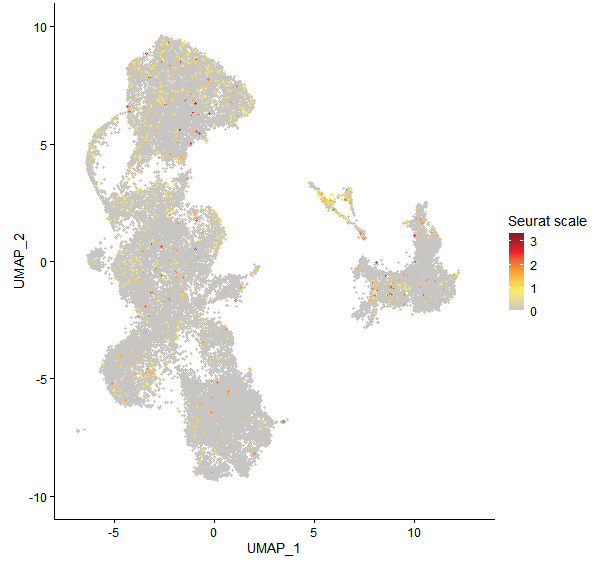 Feature plot of Mp2g16650 on UMAP