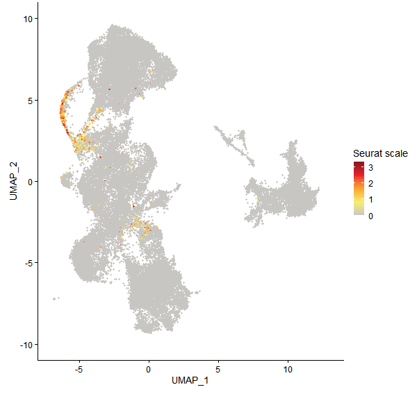 Feature plot of Mp2g16700 on UMAP