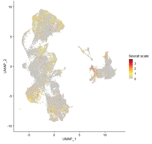 Feature plot of Mp2g17680 on UMAP