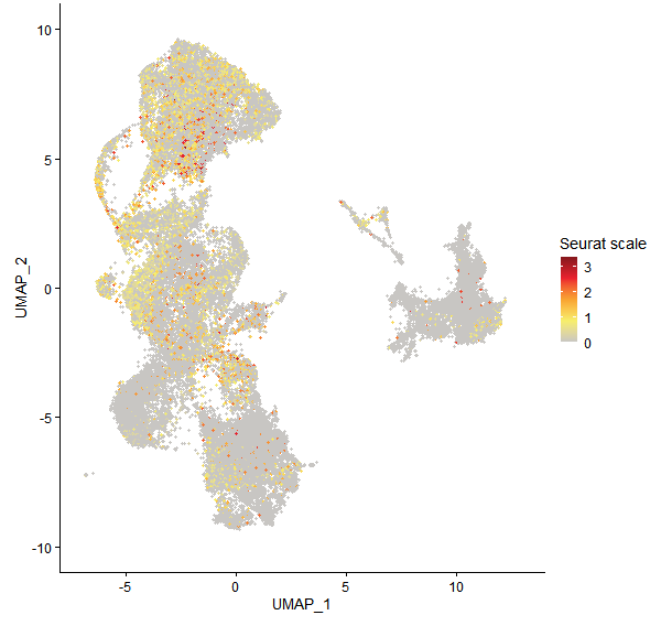 Feature plot of Mp2g18730 on UMAP