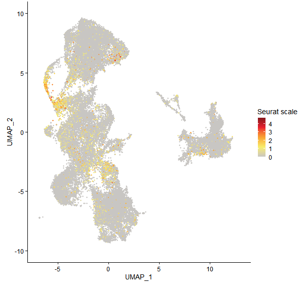Feature plot of Mp2g20220 on UMAP