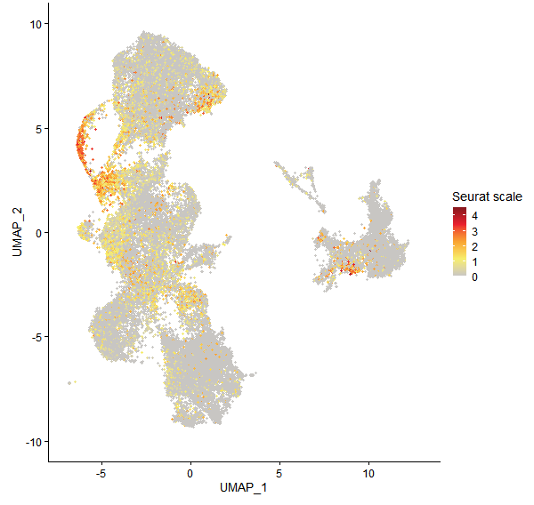 Feature plot of Mp2g20240 on UMAP
