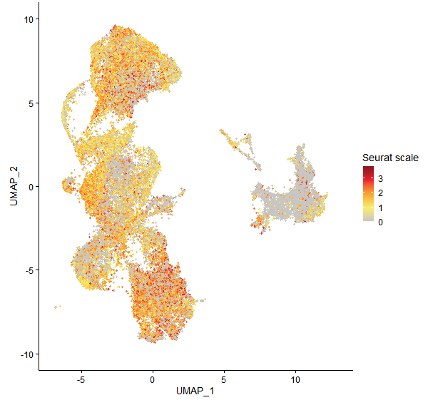 Feature plot of Mp2g21150 on UMAP