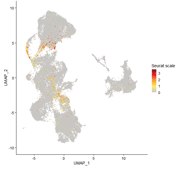 Feature plot of Mp2g21490 on UMAP