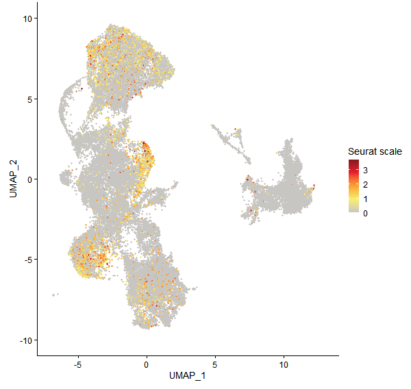 Feature plot of Mp2g21520 on UMAP