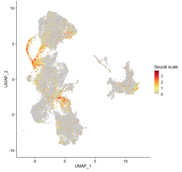 Feature plot of Mp2g21770 on UMAP