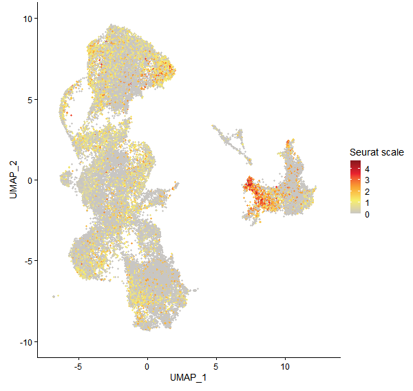 Feature plot of Mp2g21800 on UMAP