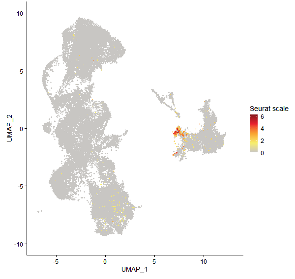 Feature plot of Mp2g21910 on UMAP