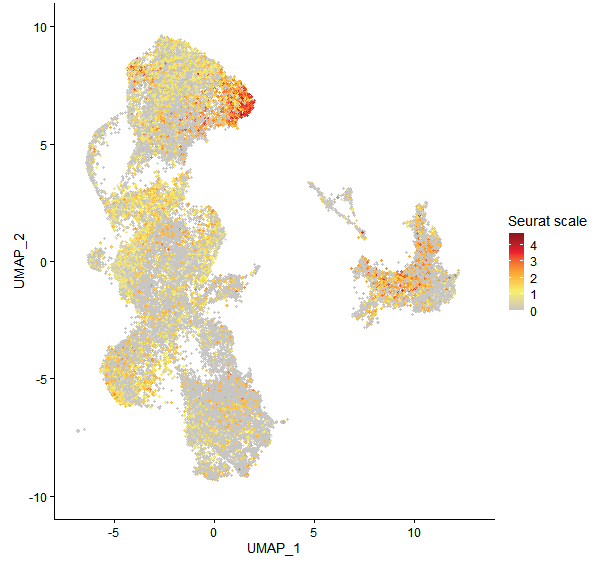 Feature plot of Mp2g22410 on UMAP