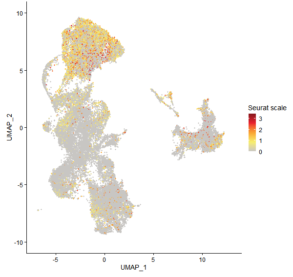 Feature plot of Mp2g22490 on UMAP