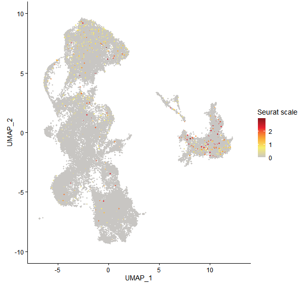 Feature plot of Mp2g22600 on UMAP