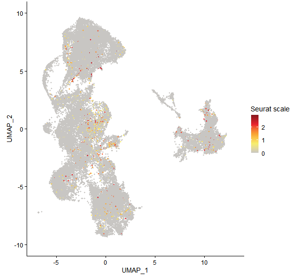 Feature plot of Mp2g23050 on UMAP