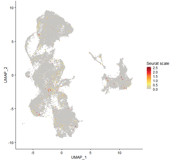 Feature plot of Mp2g23410 on UMAP