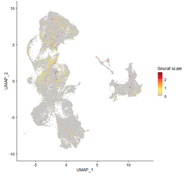 Feature plot of Mp2g23460 on UMAP