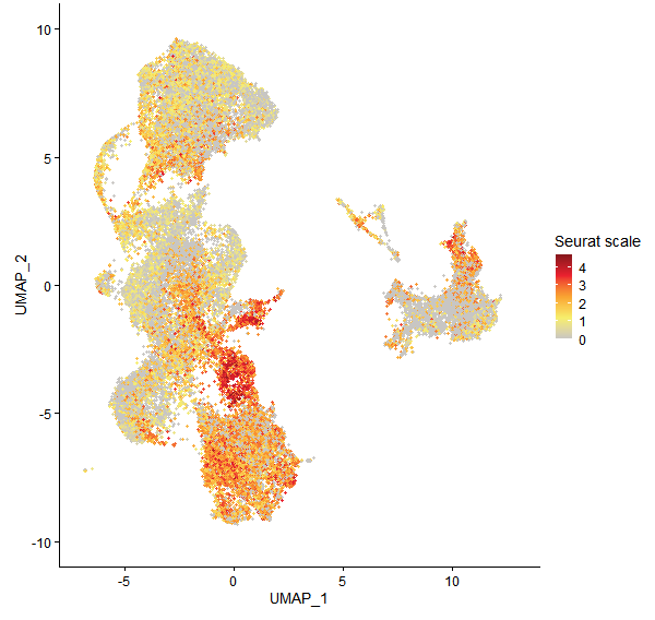 Feature plot of Mp2g23500 on UMAP