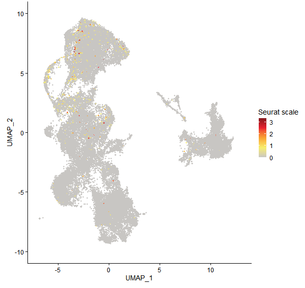 Feature plot of Mp2g23700 on UMAP