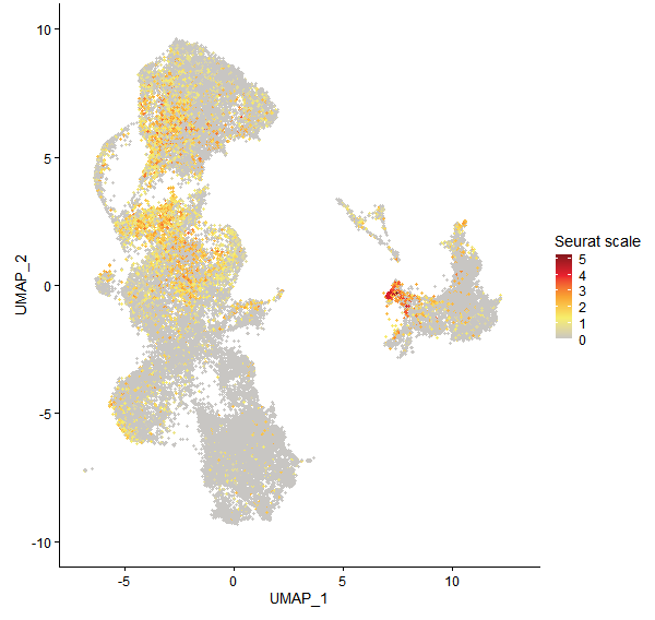 Feature plot of Mp2g24470 on UMAP