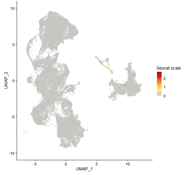 Feature plot of Mp2g24650 on UMAP