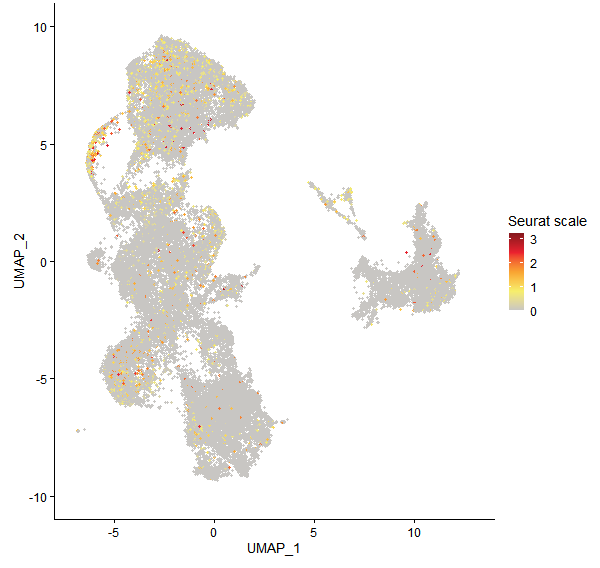 Feature plot of Mp3g00300 on UMAP