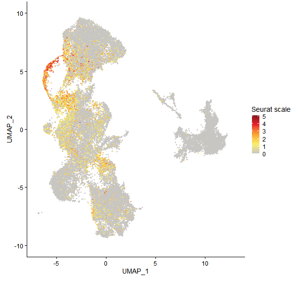 Feature plot of Mp3g01000 on UMAP