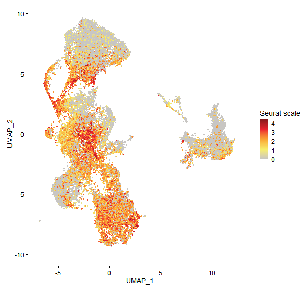Feature plot of Mp3g01170 on UMAP