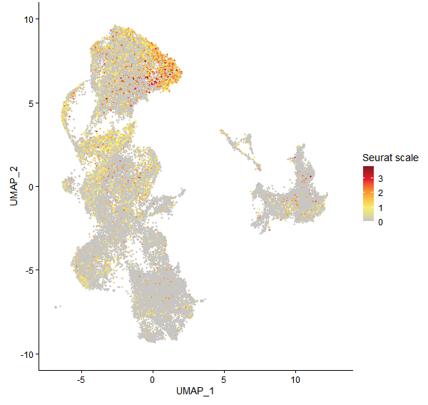 Feature plot of Mp3g02240 on UMAP