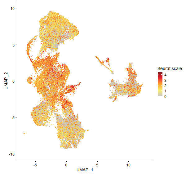 Feature plot of Mp3g02870 on UMAP