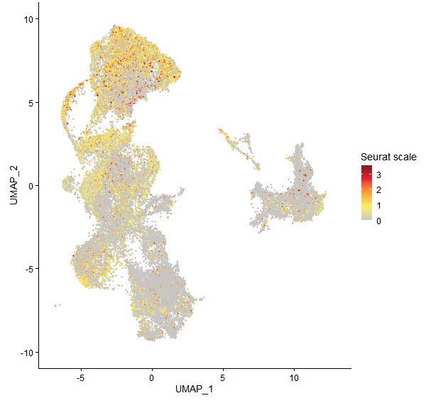 Feature plot of Mp3g03660 on UMAP