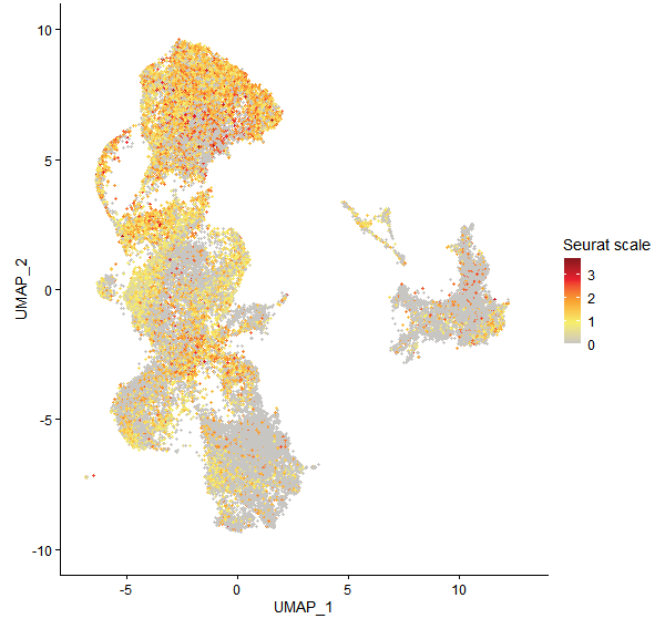 Feature plot of Mp3g03810 on UMAP