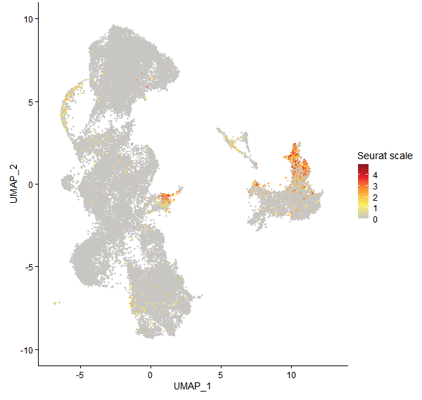 Feature plot of Mp3g03890 on UMAP