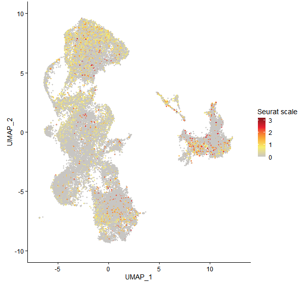 Feature plot of Mp3g04330 on UMAP