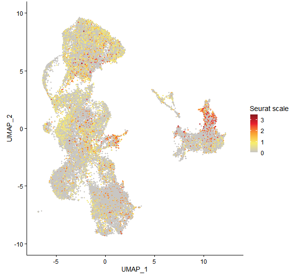 Feature plot of Mp3g04450 on UMAP