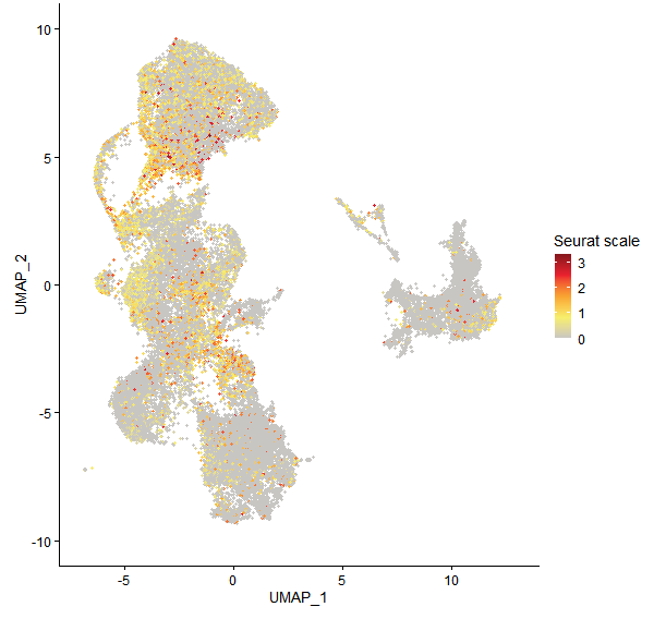 Feature plot of Mp3g06190 on UMAP