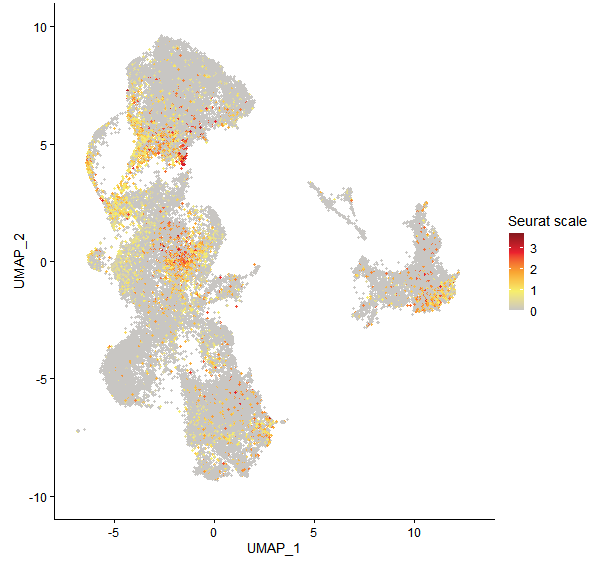 Feature plot of Mp3g06270 on UMAP