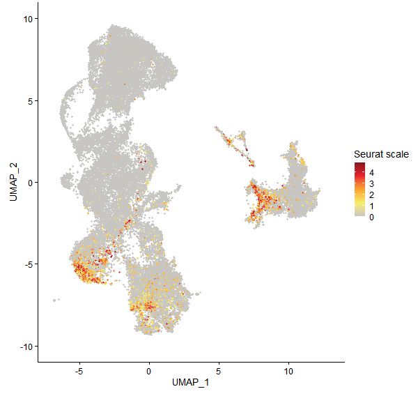 Feature plot of Mp3g06560 on UMAP