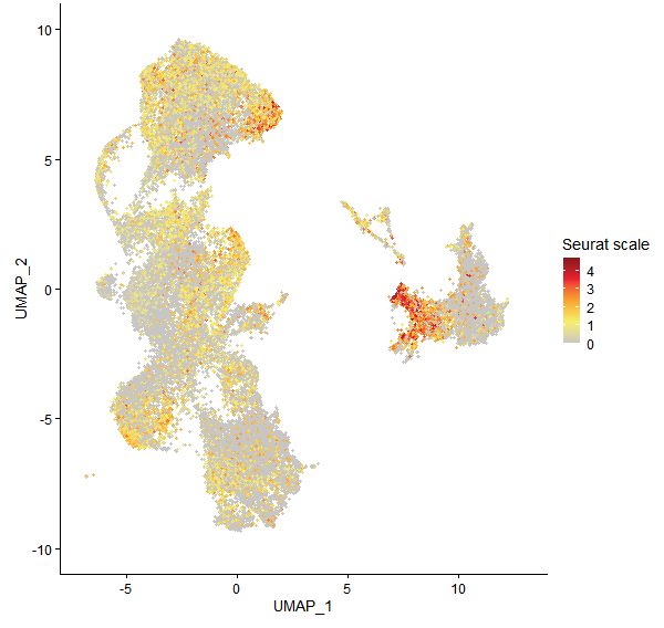 Feature plot of Mp3g07130 on UMAP