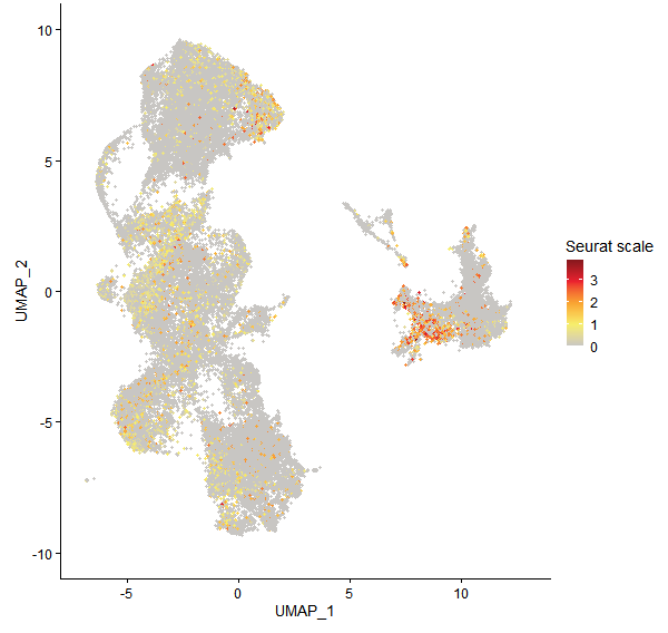 Feature plot of Mp3g10340 on UMAP